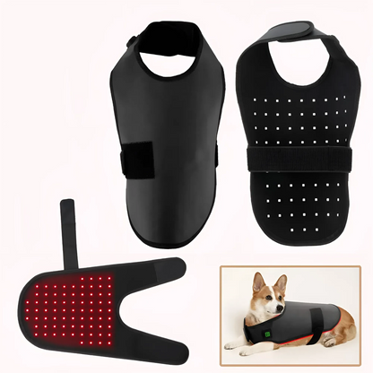 PawCare Infrared Light Therapy Coat for Pets – Optimal Health for Dogs and Cats