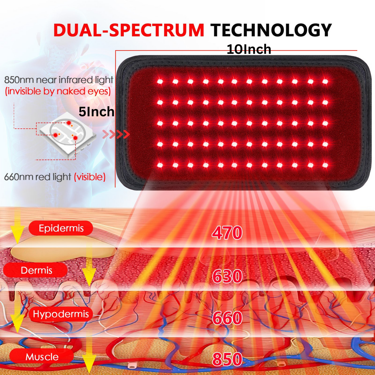 GloThera Comprehensive Red Light Therapy Belt for Pain and Relaxation - 60 LED