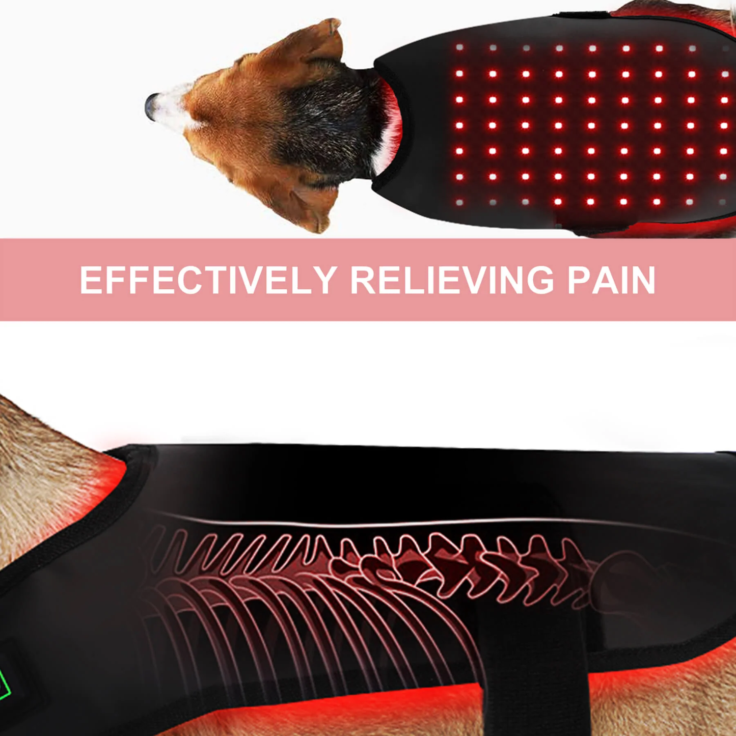 PawCare Infrared Light Therapy Coat for Pets – Optimal Health for Dogs and Cats